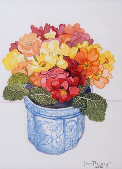 The Multicoloured Primrose 2011 by Joan Thewsey